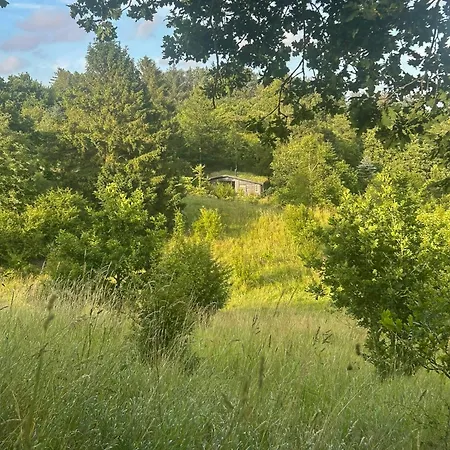 度假居 Traehytte Pa 1,9 Hektar Fredet Ved Rebild *